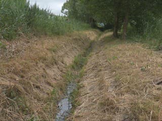 Voda nám uteká z krajiny. Čoraz viac sa prejavujú zásahy do tokov a pôdy