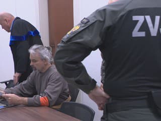 Psíčkara usmrtil jedinou ranou. Profesionálny strelec vraví, že nevie, ako zbraň vystrelila. Už pozná svoj rozsudok