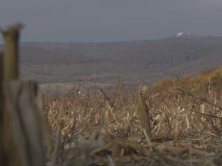 Majú tam stáť nájomné byty, no zatiaľ to je len pole s kukuricou. Štát zaň zaplatil milióny