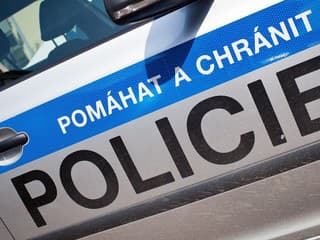 Bizarná nehoda v Česku. Auto tam zrazilo kenguru, zviera neprežilo