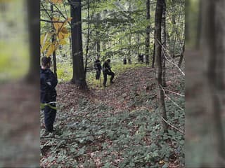 14 pátracích akcií, 220 kilometrov štvorcových prečesaných. Policajti objavili telo nezvestnej ženy