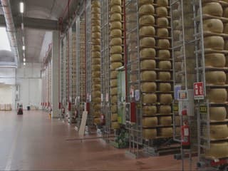 Slávny taliansky parmezán má problém. Výrobcovia sa obávajú, čo prinesú ďalšie roky