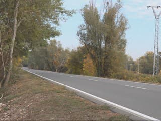 Stromy sa nakláňajú priamo nad cestu. Miestni varujú pred možnou tragédiou