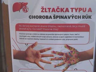 S nástupom jesene sa zvyšuje počet chorých na žltačku. V okrese na juhu Slovenska evidujú vyše 120 prípadov