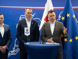 Zimné štadióny dostanú milióny eur. Poznáme mestá, ktoré uspeli