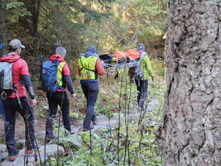 Po vyše mesiaci pátrania prišiel tragický koniec. Turistu (†73) našli mŕtveho pod Poľanou