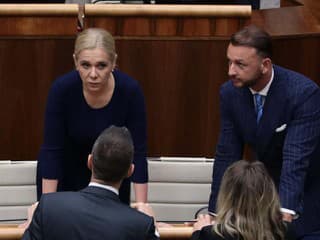 AKTUÁLNE Kozmetička z Košíc po kauze KONČÍ na čele dozornej rady! Jej manžel riešil prípad Šutaja Eštoka