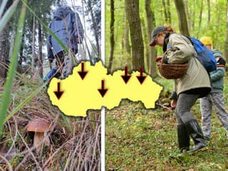 Hubári ukázali na najplodnejšie LOKALITY: Pravidelní zberači bijú na poplach, takúto sezónu vraj ešte nezažili!