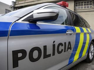 Matka zachránila 12-ročné dievča pred 50-ročným PREDÁTOROM! Polícia ho zadržala priamo na schôdzke
