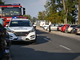 AKTUÁLNE Na kúpalisku pri Šali zasahujú záchranári: Desiatky ľudí mali zdravotné ťažkosti!