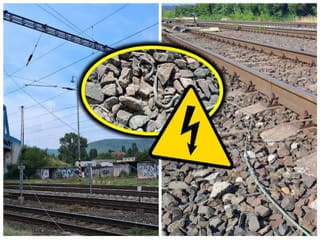 Užovka ochromila železnicu! Kuriózne vysvetlenie meškania vlakov v Bratislave: Stačil jediný dotyk a prišla POHROMA