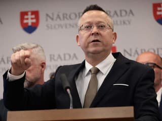 Slovensko ďalších šesť mesiacov neprežuje Zamestnávatelia varujú pred nezrušením transakčnej dane