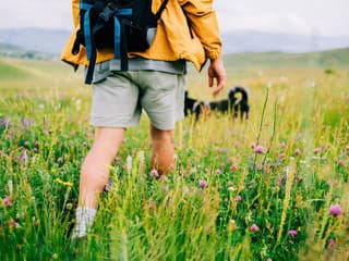 Prosba skončila BITKOU! V Malej Fatre mal muž napadnúť českého turistu po konflikte so psom
