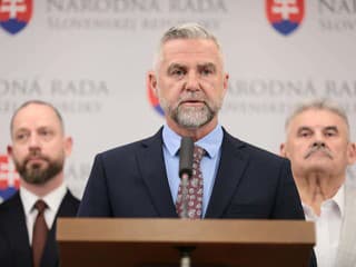 Snaha o odvolanie je hystériou i snahou prekryť kauzu matky lídra PS, tvrdí Gašpar