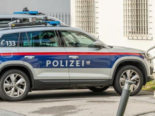 Slovenský hudobník vyčíňal v centre Viedne: Policajtovi sa zahryzol do nohy!