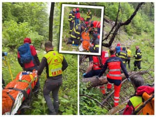 MIMORIADNA dráma na Liptove: Útok medveďa a prvé VIDEO záchranárov, šelma sa kotúľala aj 50 metrov!