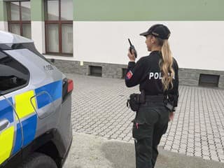 Chcel zrušiť voľby, lebo priateľka nestíhala voliť! Polícia zverejnila najkurióznejšie oznámenia