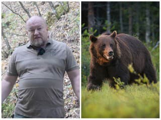 Huliak po útoku medveďa zúri: Jeden človek je dokonca v umelom spánku a TOTO si niesol v rukách! Na čo ešte čakáme?