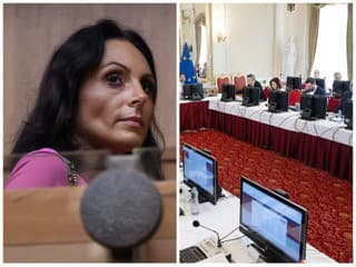 Kam sa zašila Šaškova predchodkyňa Dolinková? Čudné manévre, práca pre vládu, na pracovisku ju nevídajú!