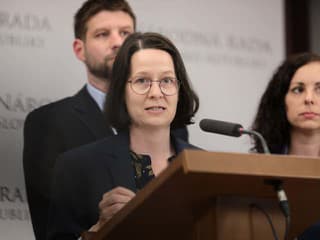 PS bije na poplach pre dianie na NSS: Skončilo celé IT oddelenie! Hovorí o bezpečnostnom riziku