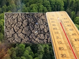 Na Slovensku hrozí nebezpečný jav Hot Flash Drought! Varovanie klimatológa: DESIVÉ, čo prichádza