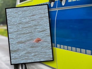 Policajti vyrazili k údajnej mŕtvole vo vode: ŠTEKLIVÉ prekvapenie na mieste! Veď to je...