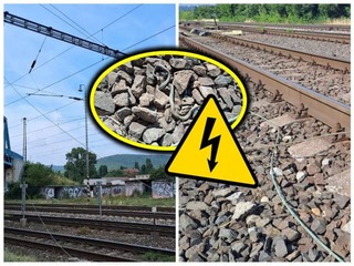 Užovka ochromila železnicu! Kuriózne vysvetlenie meškania vlakov v Bratislave: Stačil jediný dotyk a prišla POHROMA
