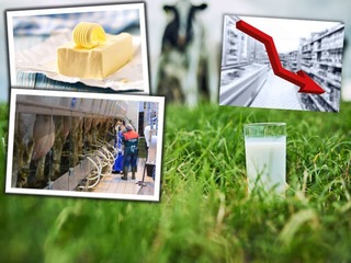 Karta sa obrátila: Ceny masla a mlieka PADAJÚ, výrobcovia sú napriek tomu ZÚFALÍ, sme v existenčnom ohrození!