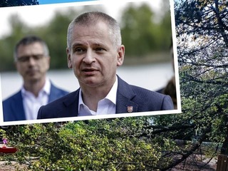 Starosta Ružinova Chren o najhoršom dni v jeho živote!  Pád stromu na detské ihrisko, čo zistil odborník?