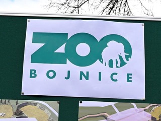 Poplach v bojnickej zoo: Ušlo im jedno zo zvierat! Intenzívne pátranie, môže byť aj mimo areálu