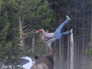 Desivý útok v Yellowstone: VIDEO Bizón vyhodil turistu do výšky! Utrpel vážne zranenia