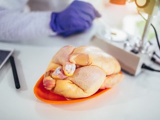 Inšpektori našli kurčatá s pesticídmi: Limity prekročili niekoľkonásobne! Na Slovensko ich doviezli viac ako pol tony