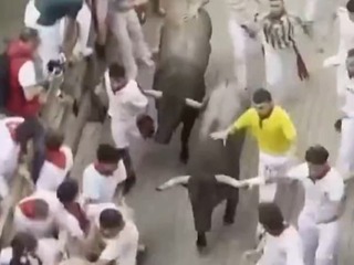 Panika v uliciach: VIDEO Býky zrážali bežcov na dlažbu, jeden utrpel vážne zranenia