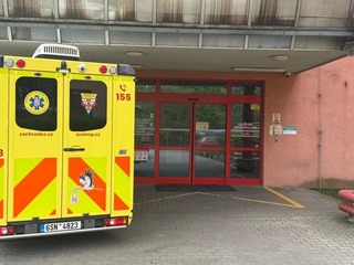 Obrovská TRAGÉDIA: Muž (54) zomrel po bodnutí hmyzom, nepomohla ani okamžitá pomoc!
