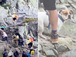 Vrchol nezodpovednosti v Tatrách: Turisti ignorujú zákaz a ťahajú psy aj na nebezpečné úseky
