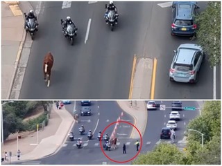 Divoká naháňačka ako z westernu: VIDEO Koňa prenasledovali policajti na motorkách aj dron, zasiahnuť musel kovboj!