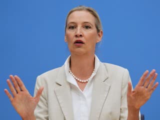 AfD chce prestavať Európsku úniu: Oslabenie Komisie, koniec voľby europoslancov aj odchod zo Schengenu