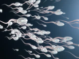 Antikoncepcia pre mužov je čoraz bližšie: Testujú tabletku pred sexom aj vratný implantát