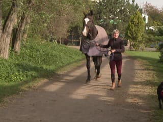 Slovenská herečka sa s divákmi podelila o historku so svojim koňom