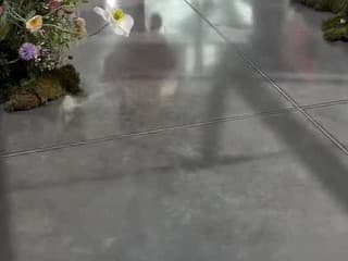 Oslava 6. narodenín dcérky Moniky Bagárovej