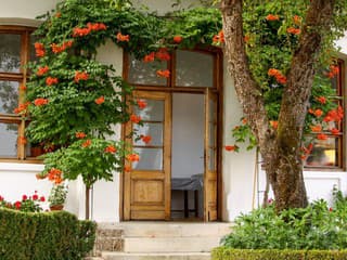 Krásne popínavé trvalky, s ktorými nie je cez sezónu veľa práce navyše