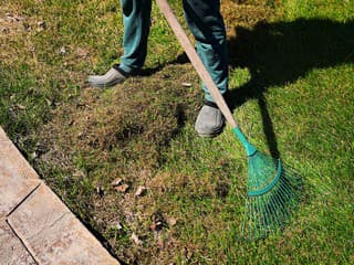 Vyzerá váš trávnik po zime ako katastrofa? Urobte túto jednu vec a susedia vám budú na jar závidieť