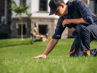 Úspešná cesta k perfektnému trávniku: Kompletný sprievodca od výberu osiva po letnú záchranu