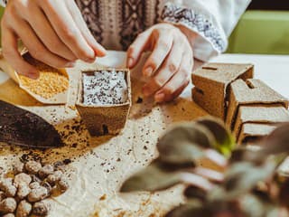 Patria semienka do chladničky? Prečo je studený šok kľúčom k bohatej úrode