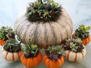 Jednoduché jesenné dekorácie vyrobené šikovnými rukami a takmer zadarmo