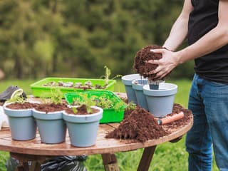 Prečo kúpený substrát často nestačí? Spoznajte tajné prísady záhradkárov, ktoré oživia pôdu a zachránia korene