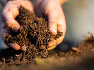 Záhony bez rýľovania? Ako pripraviť pôdu na jar bez zbytočnej námahy