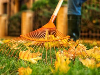 Jedna chyba vás môže stáť celý trávnik! Akej činnosti venovať na jeseň pozornosť?