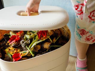 Kompostovanie v domácnosti aj bez zápachu? Tieto červy vám to uľahčia na maximum!