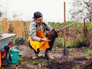Ovocné stromy, ktoré sa zmestia aj do malej záhrady? Vyberajte z týchto podpníkov